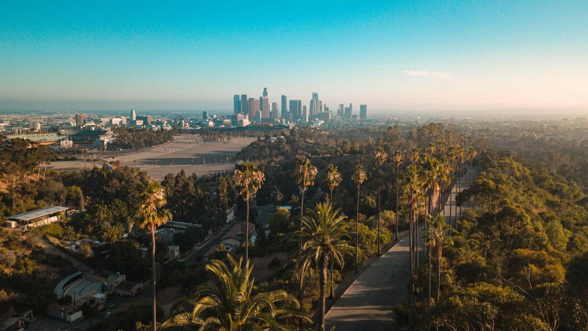 Palm-lined road with the downtown Los Angeles skyline in the distance